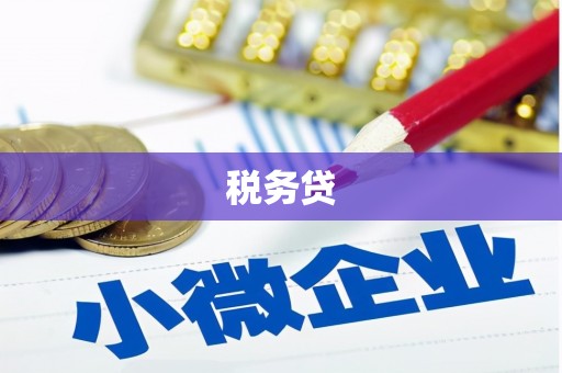江东税务贷