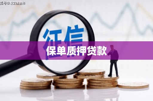 雷州保单质押贷款