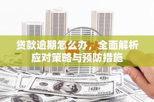 容县贷款逾期怎么办，全面解析应对策略与预防措施