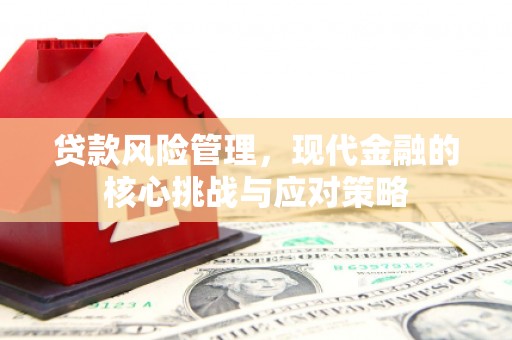 桃园贷款风险管理，现代金融的核心挑战与应对策略