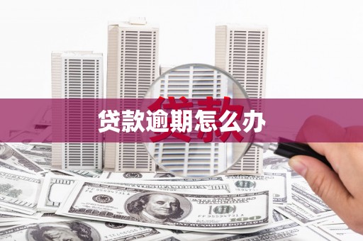 绥滨贷款逾期怎么办