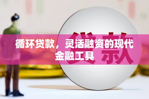 信丰循环贷款，灵活融资的现代金融工具