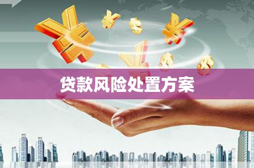 合作贷款风险处置方案