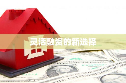 水林灵活融资的新选择