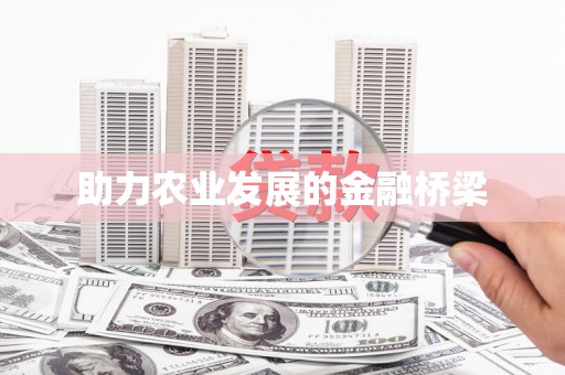 莎车助力农业发展的金融桥梁