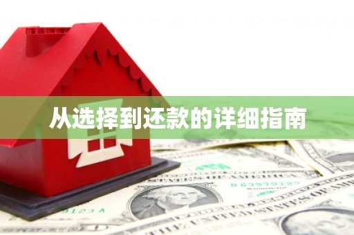 自贡从选择到还款的详细指南
