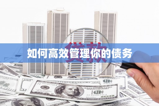 西丰如何高效管理你的债务