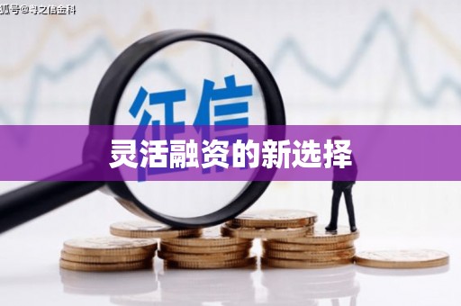 芙蓉灵活融资的新选择