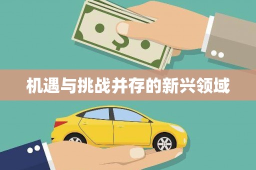 赵县机遇与挑战并存的新兴领域