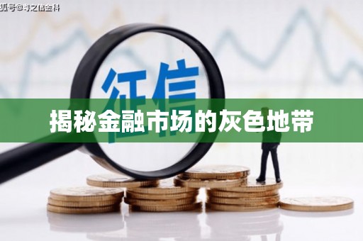 大宁揭秘金融市场的灰色地带