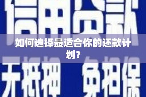漯河如何选择最适合你的还款计划？